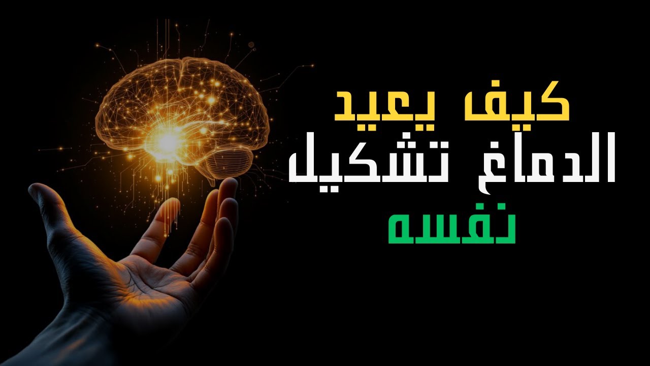 كيف يعيد الدماغ تشكيل نفسه #تحفيز #الذاكرة #مرونة_عصبية #علم_الدماغ #التحفيز_الذهني