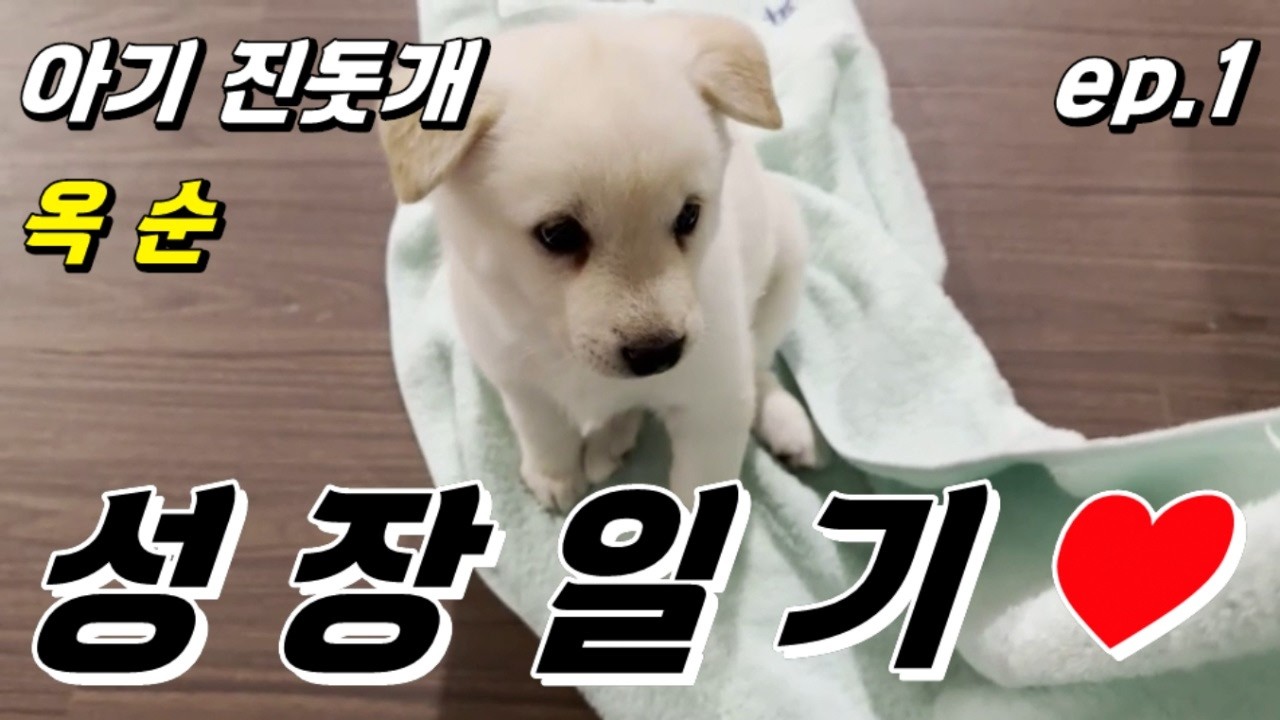 [ep.1] 옥순이의 하루!