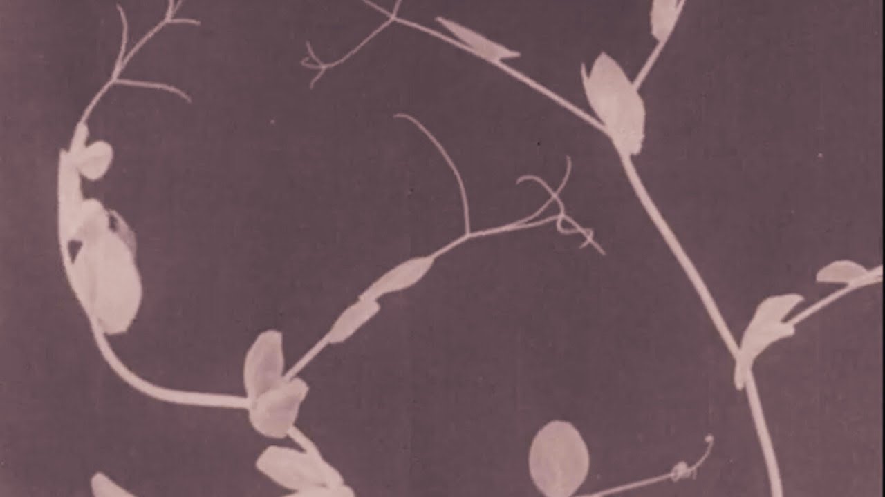 Fervur rumantscha! Atelier online da translaziun poetica