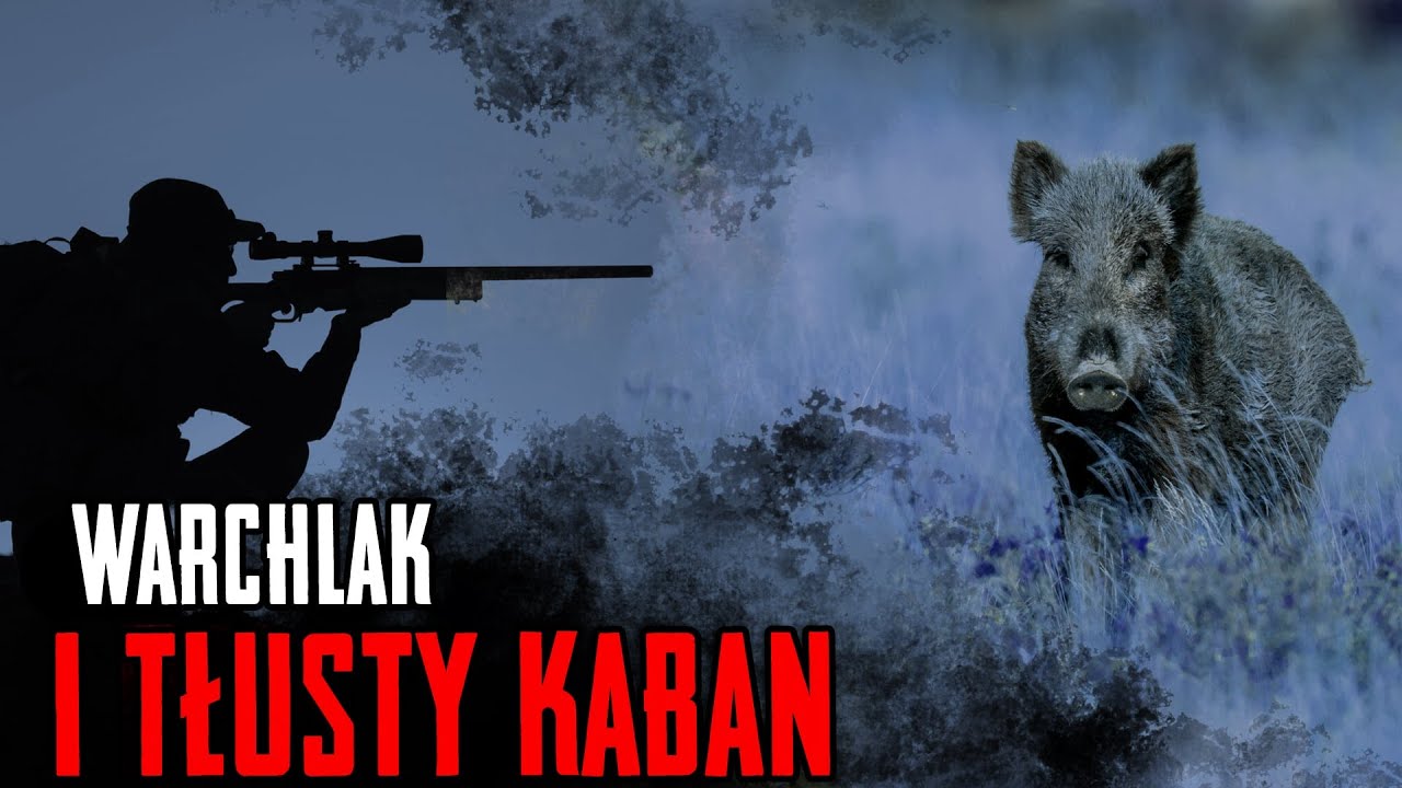 Warchlak i tłusty kaban. Polowanie na dziki w październiku.