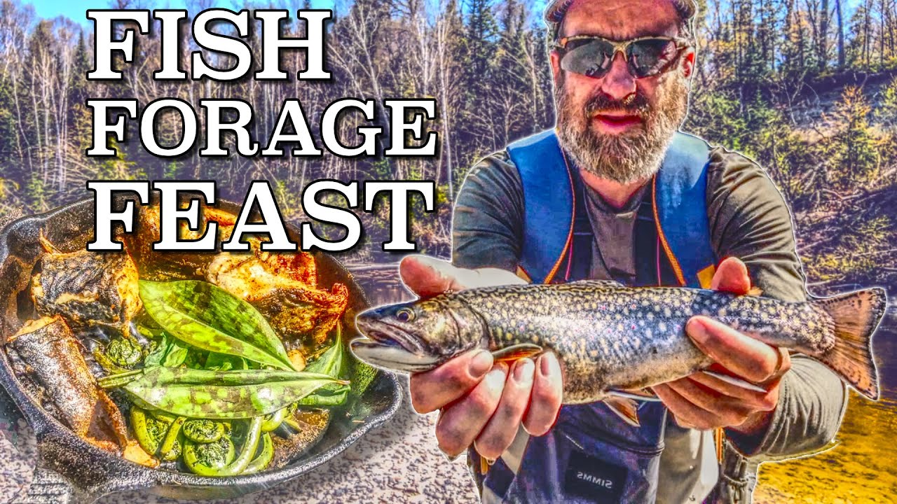 Brook Trout Fly Fishing In The Hills Of Algoma - Streamside Catch and cook