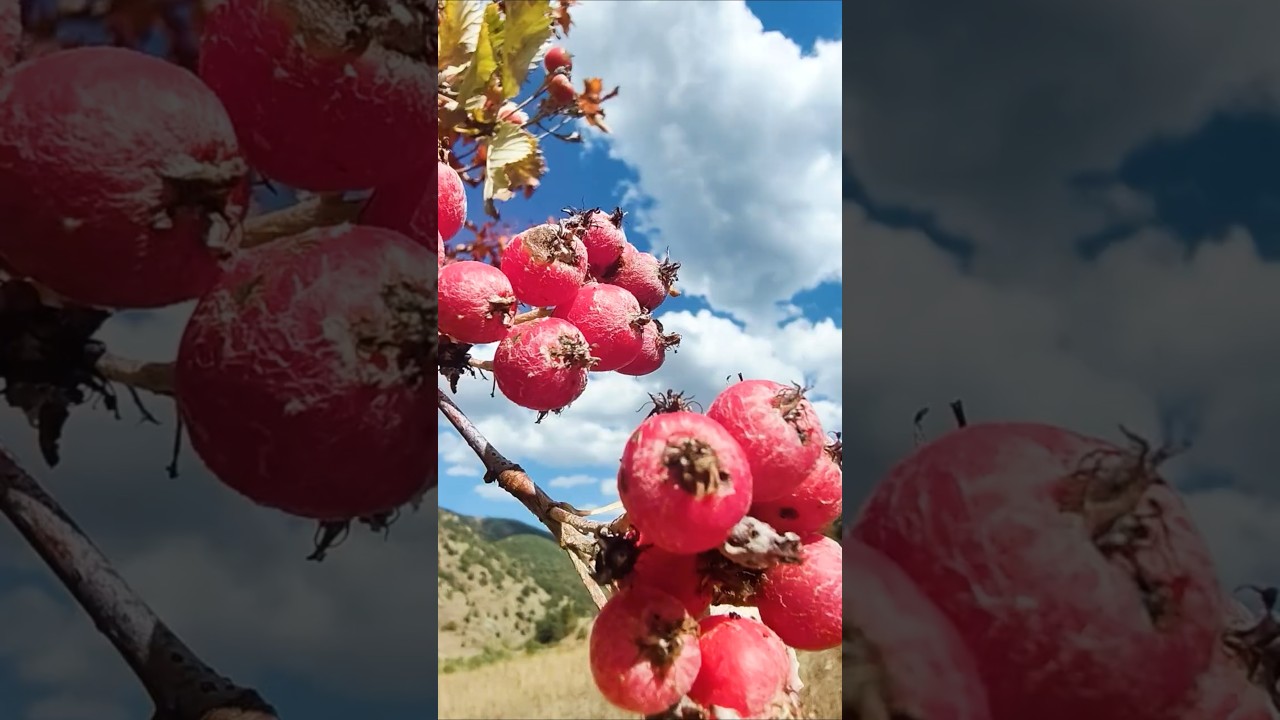 Daha Senden Gayrı Aşık mı Yoktur... 
