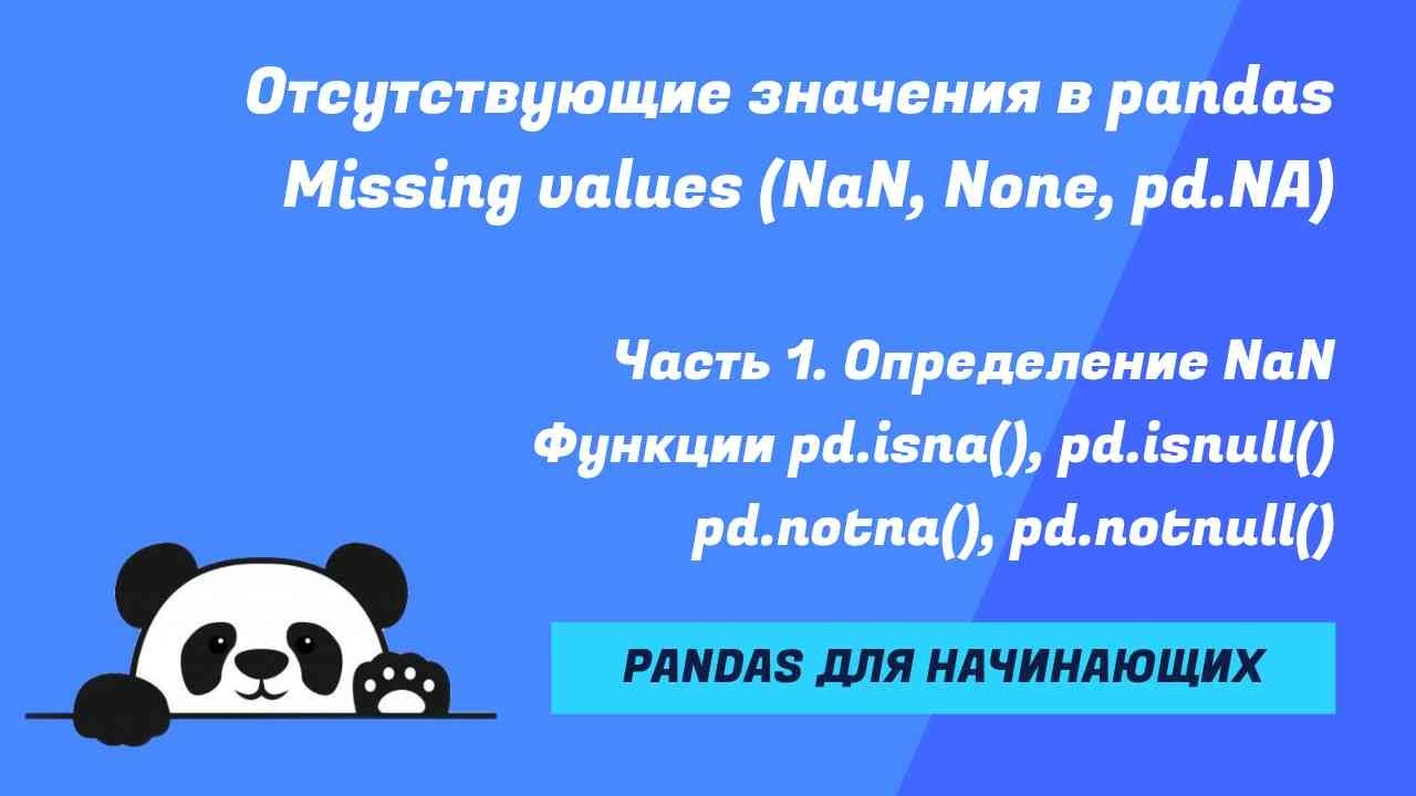 Пропуски в pandas. NaN, pd.NA, None. Часть 1. Определение и проверка