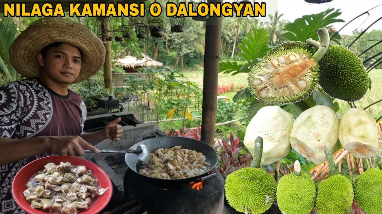 NILAGANG DALONGYAN O KAMANSI NA MAY KARNING BABOY 