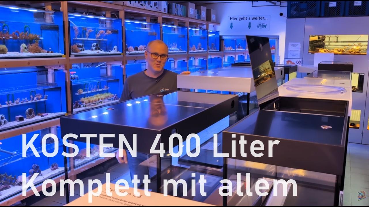 Was kostet ein komplettes 400 L MEERWASSER Becken? &ndash; Teil 2 der neuen Fish and More Reihe