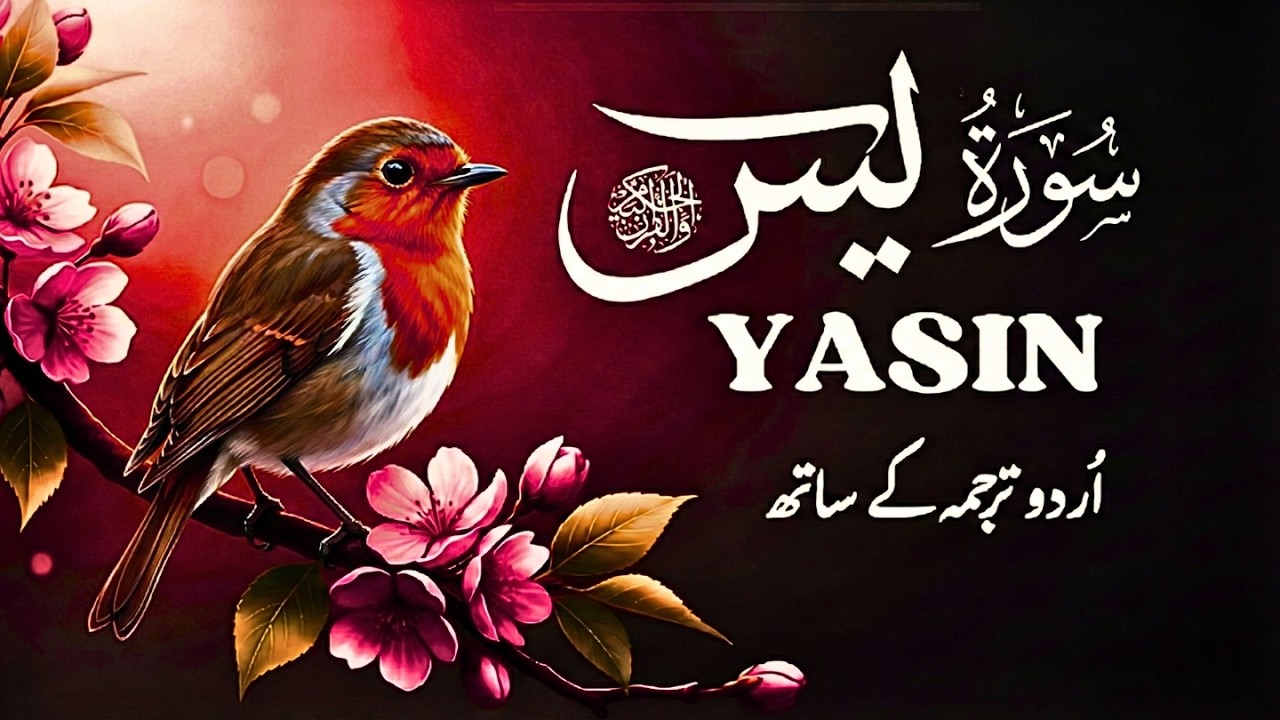 Surah Yaseen with Urdu Translation | Heart-Touching Tilawat by Qari Mansoor Ghaznavi | Ep025