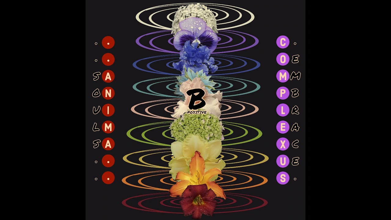 Anima Complexus ft  Eternal of Killa Beez [Prod. by Greenbax]