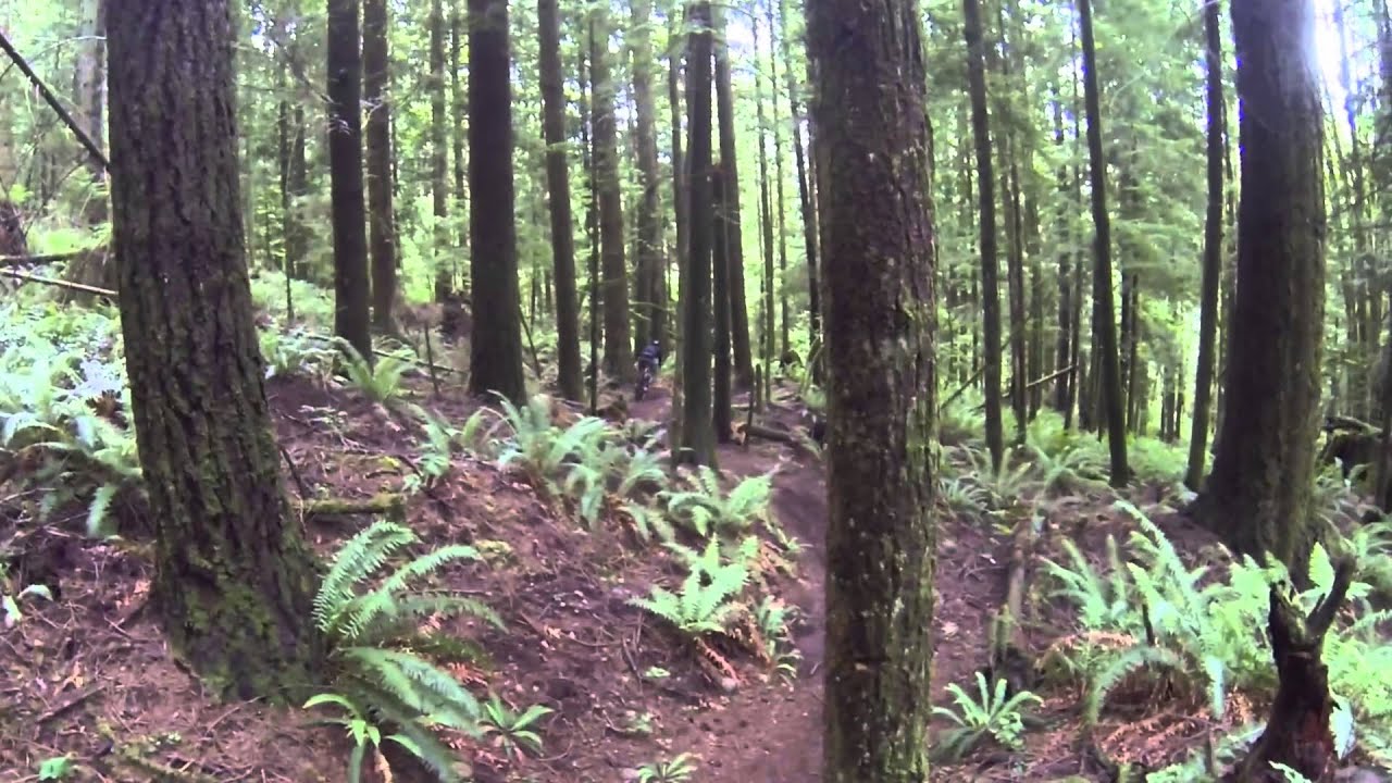 FVMBA Bear Mountain Enduro 2013 - Video By BCMountainBiking.com