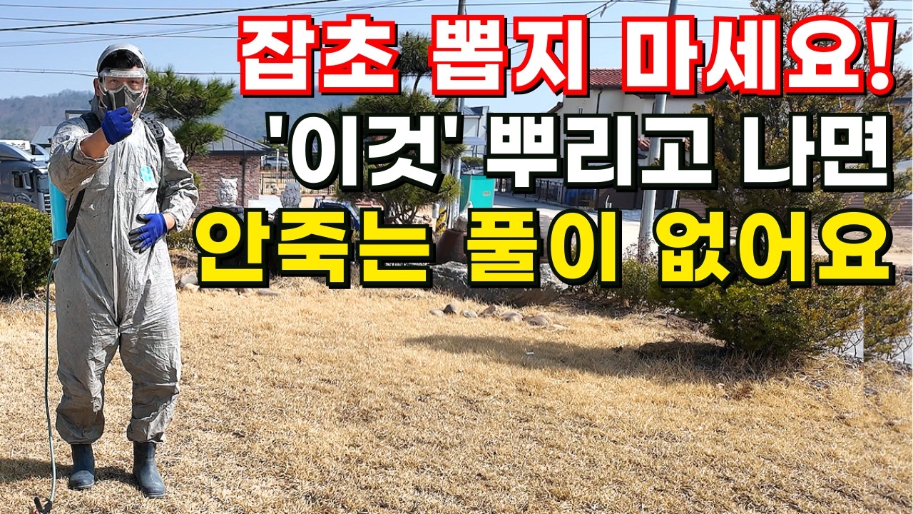 잔디는 살리고 풀은 확실하게 없애드립니다ㅣ'이것' 뿌리고 나면 안죽는 풀이 없어요ㅣ잡초, 풀 싹 다 제거하는 방법 #잡초#잡초제거#제초제#잔디#잔디관리#모뉴먼트#마름새#잔디제초제