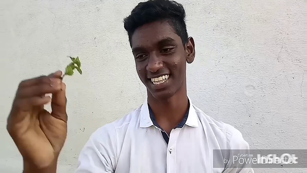 Dad vs Son (small play) /Jumpcuts/realcuts