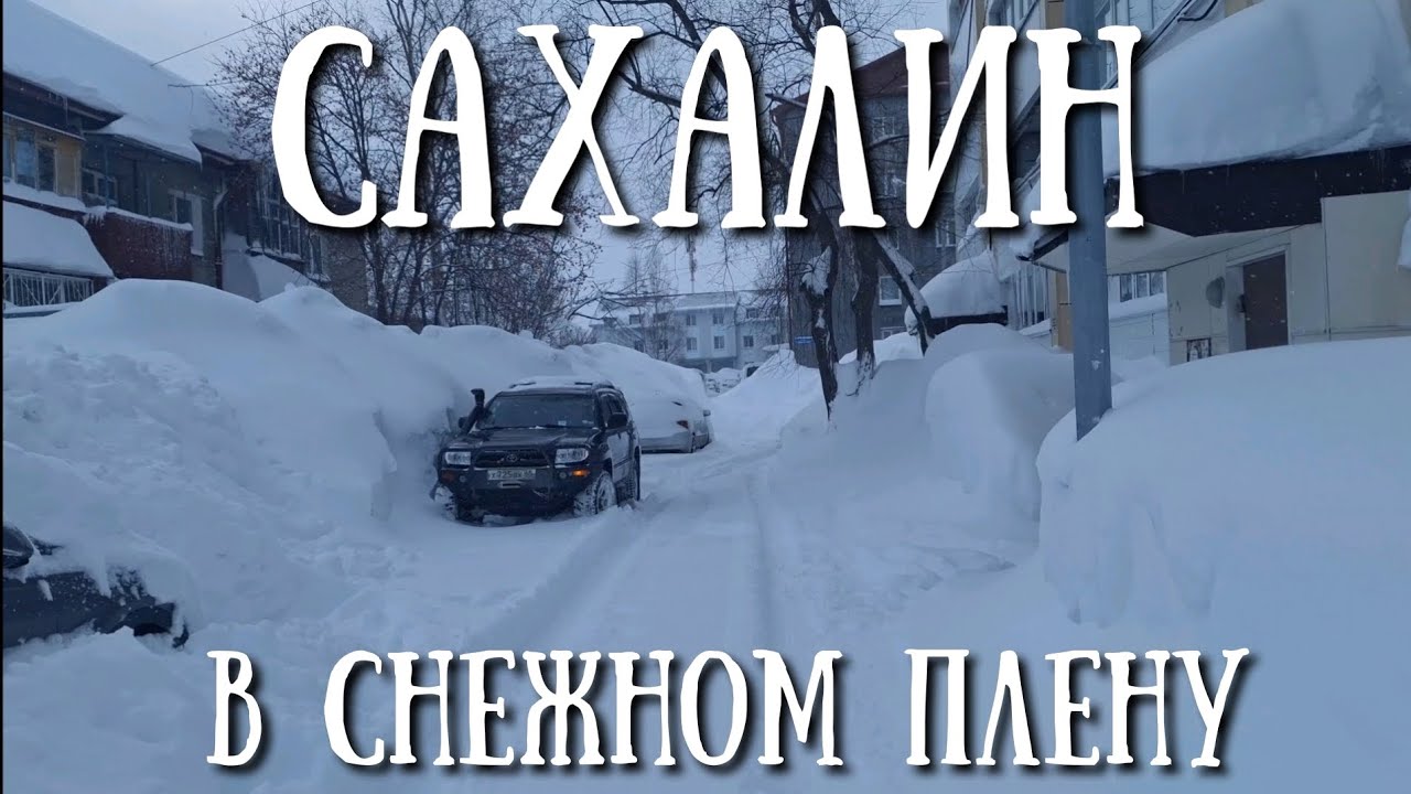 Сахалин -  снежный коллапс в 2025 году #сахалин #зима #природа #метель