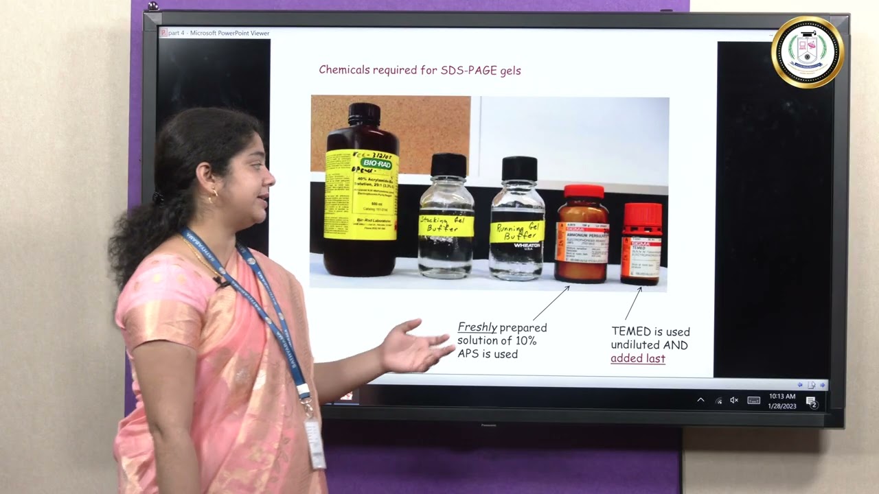 SDS – PAGE - Dr.R.P.Oviya