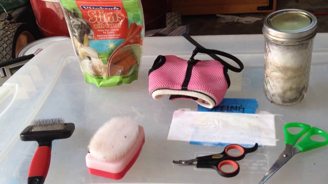 Bunny Equipment and Tools