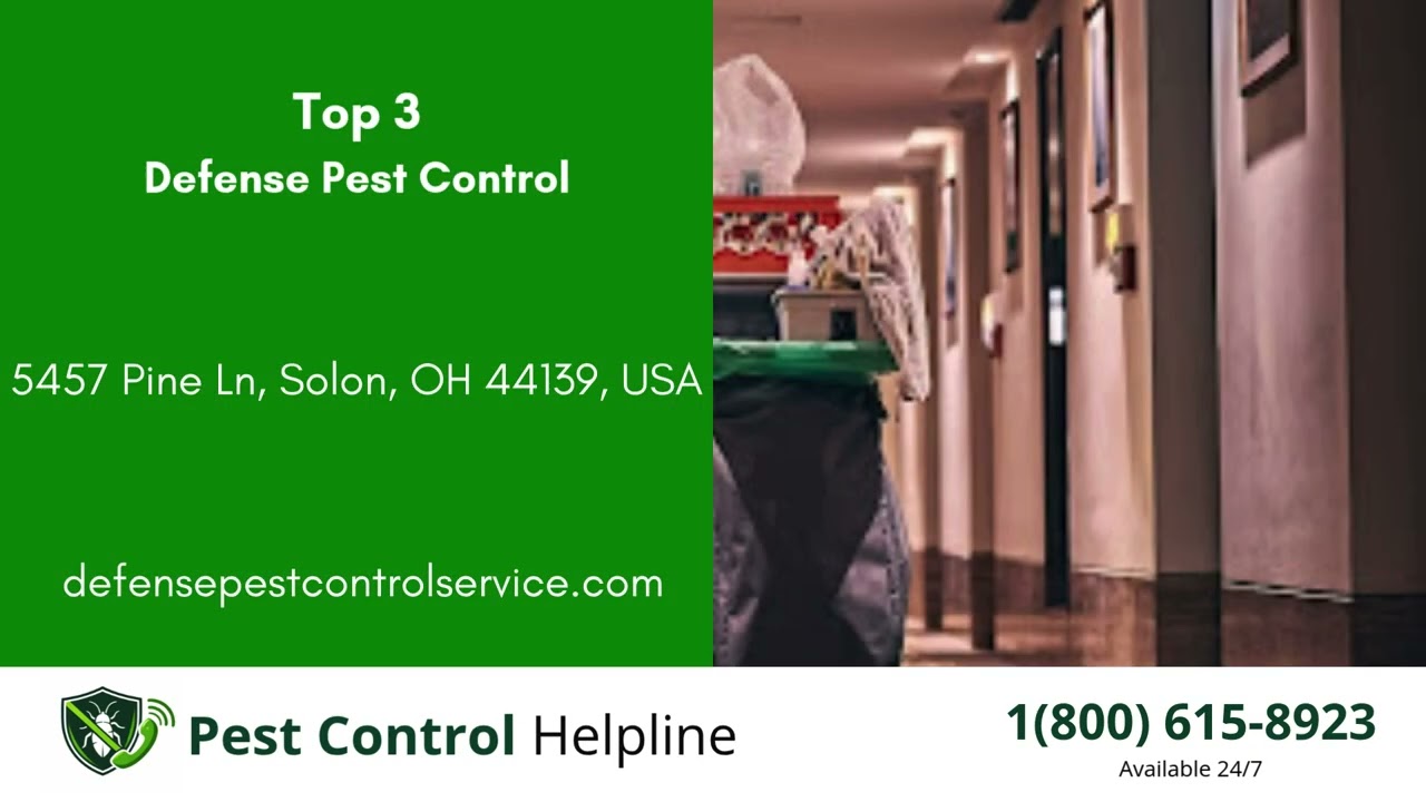 Top 3 Pest Control in Bedford Heights