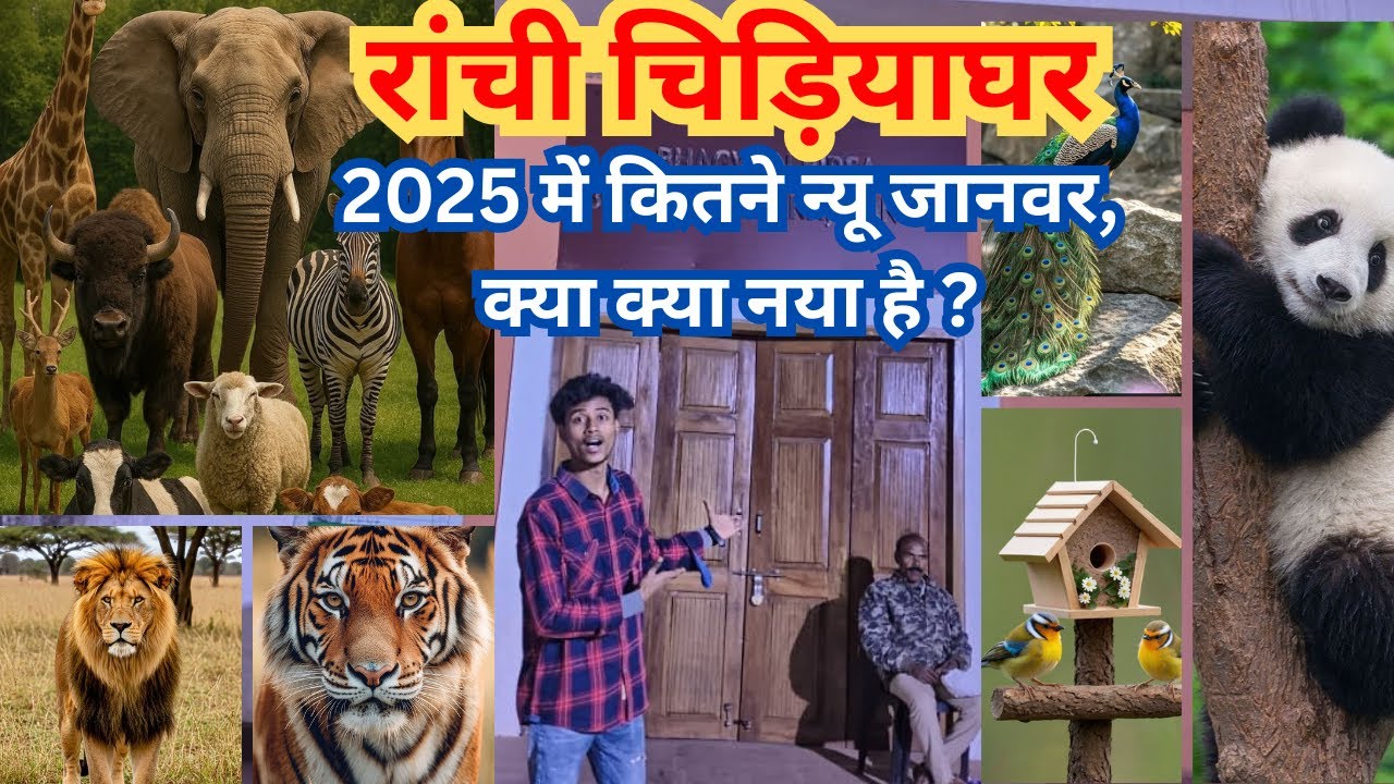 क्या क्या नया है ? | रांची चिड़ियाघर | zoo ranchi | ormanjhi zoo in ranchi | ranchi zoo | 2025 vlog
