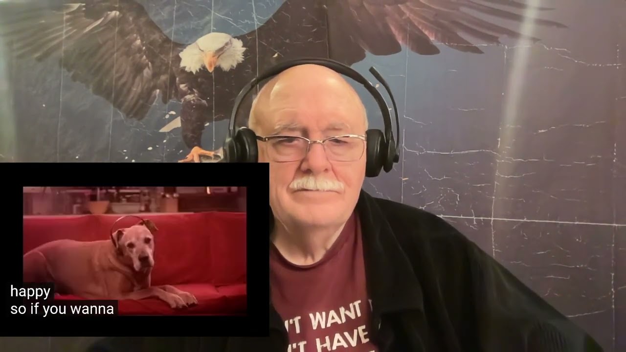 Bright Eyes - First Day of My Life - Requested reaction