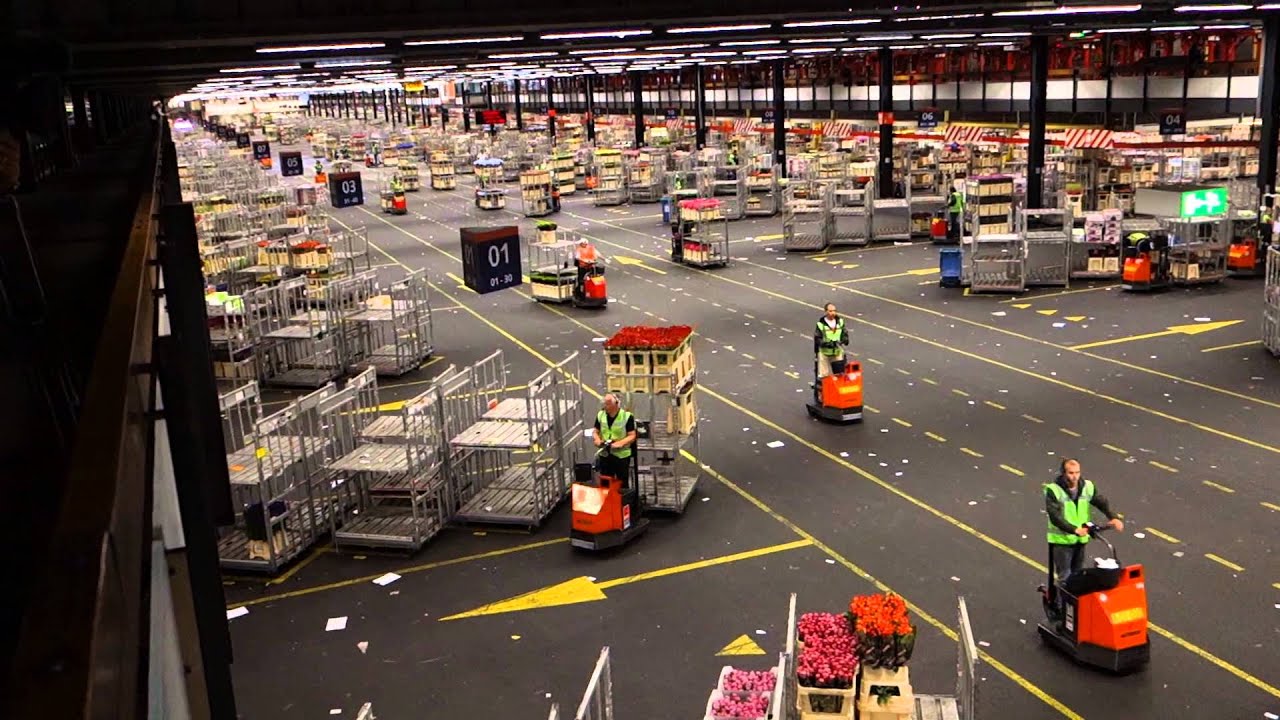 Alsmeer Flower Auction