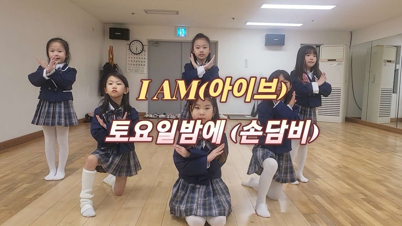I AM(아이브) & 토요일밤에(손담비)