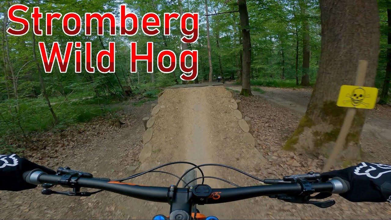Mein erstes mal Flowtrail Stromberg Wild Hog