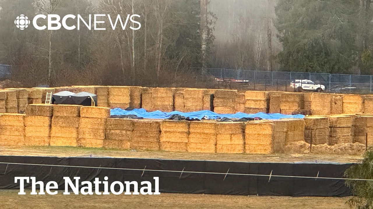 B.C. ostriches dead after cull by professional marksmen