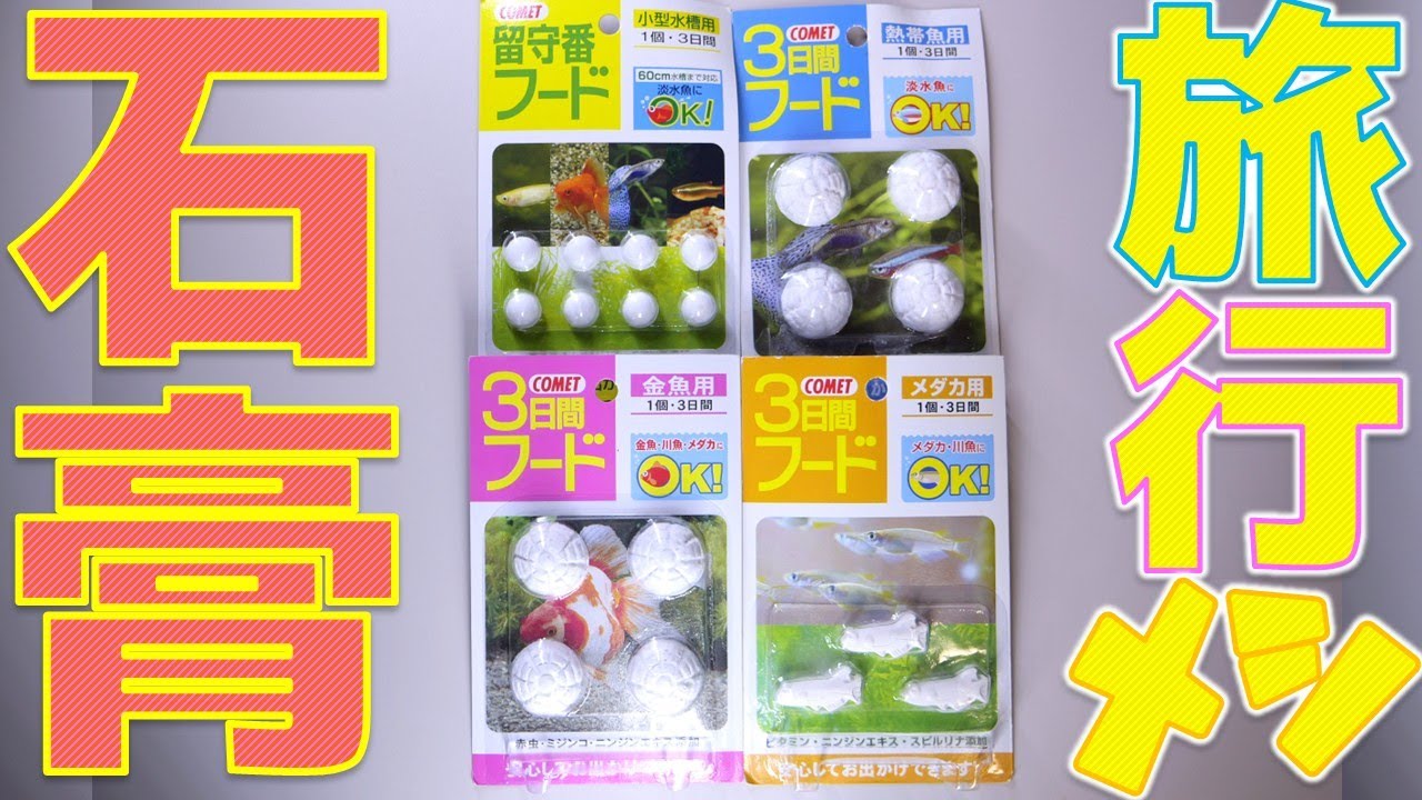 【餌】これが元祖！石膏で出来た歴史的資料だ。イトスイ 留守番フード小型水槽用、３日間フード金魚用/熱帯魚用/メダカ用【ふぶきテトラ】