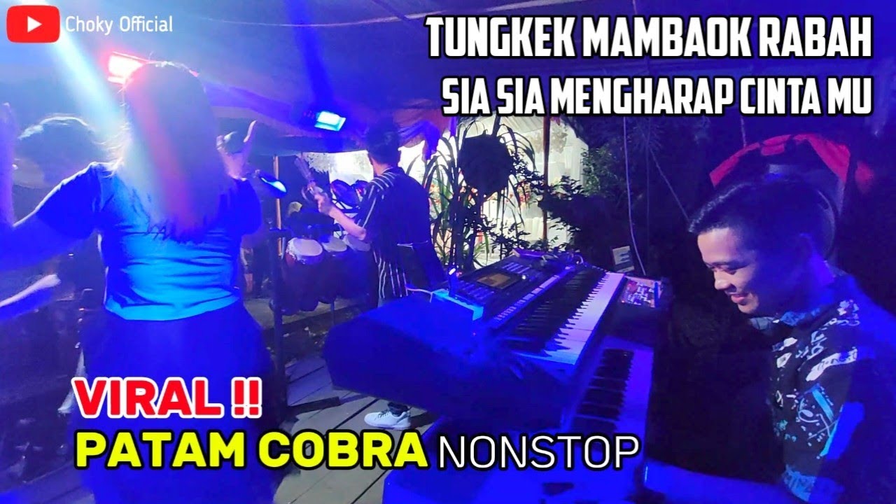 VIRAL !! PATAM COBRA NONSTOP | TUNGKEK MAMBAOK RABAH | SIA SIA MENGHARAP CINTAMU