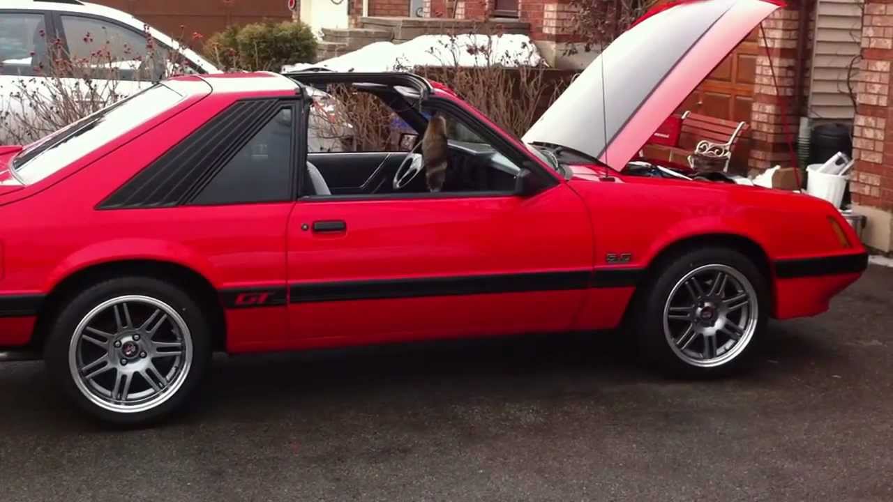 1986 Mustang GT