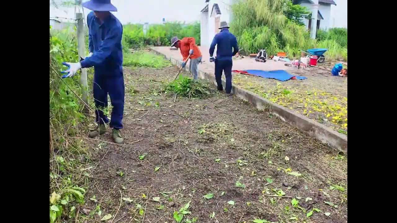 Cleaning an abandoned courtyard that has been left untouched for many years.