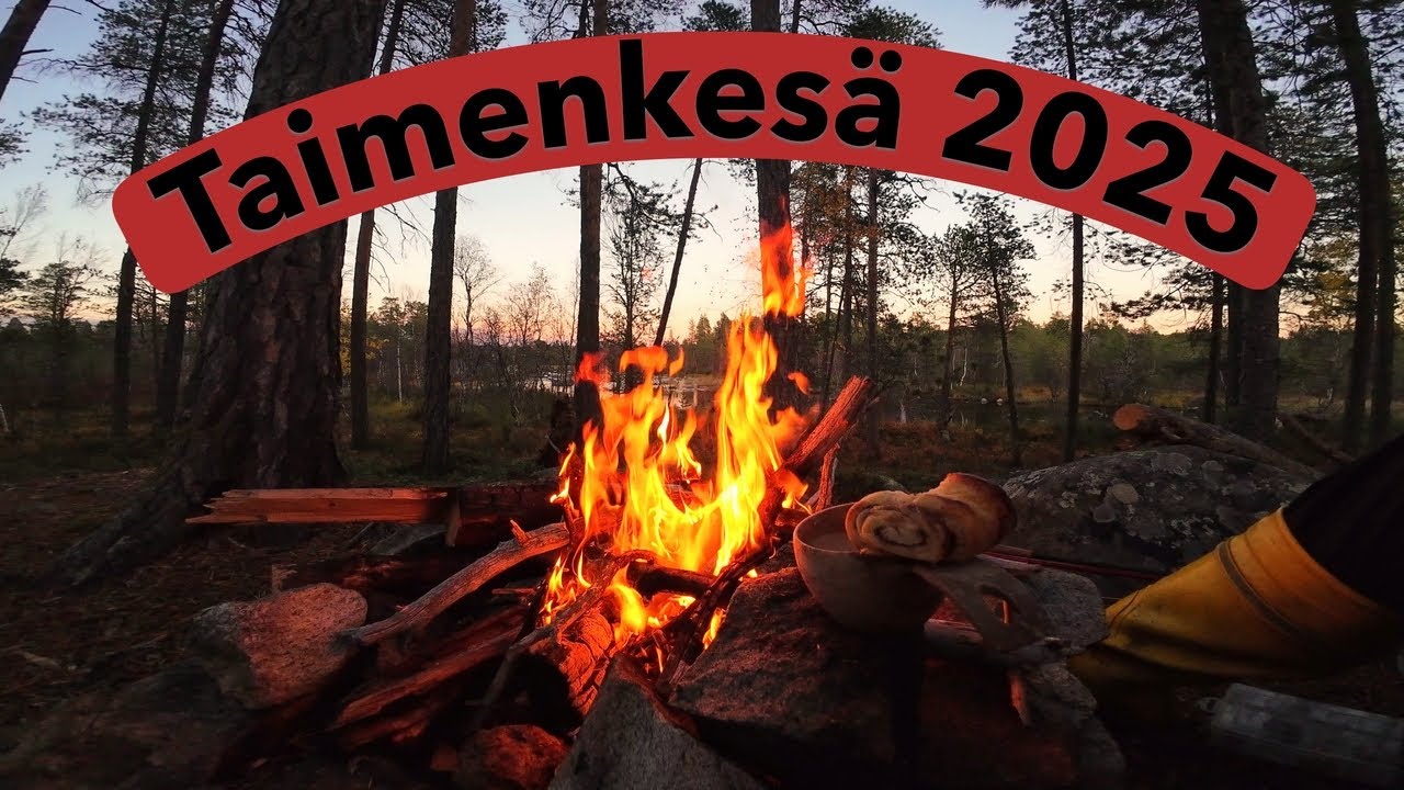 KESÄN PARHAAT TAIMEN TYKITYKSET 2025
