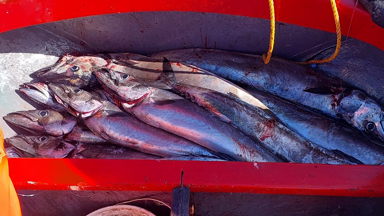 Ep 69 - Snoek fishing 28 May 2023