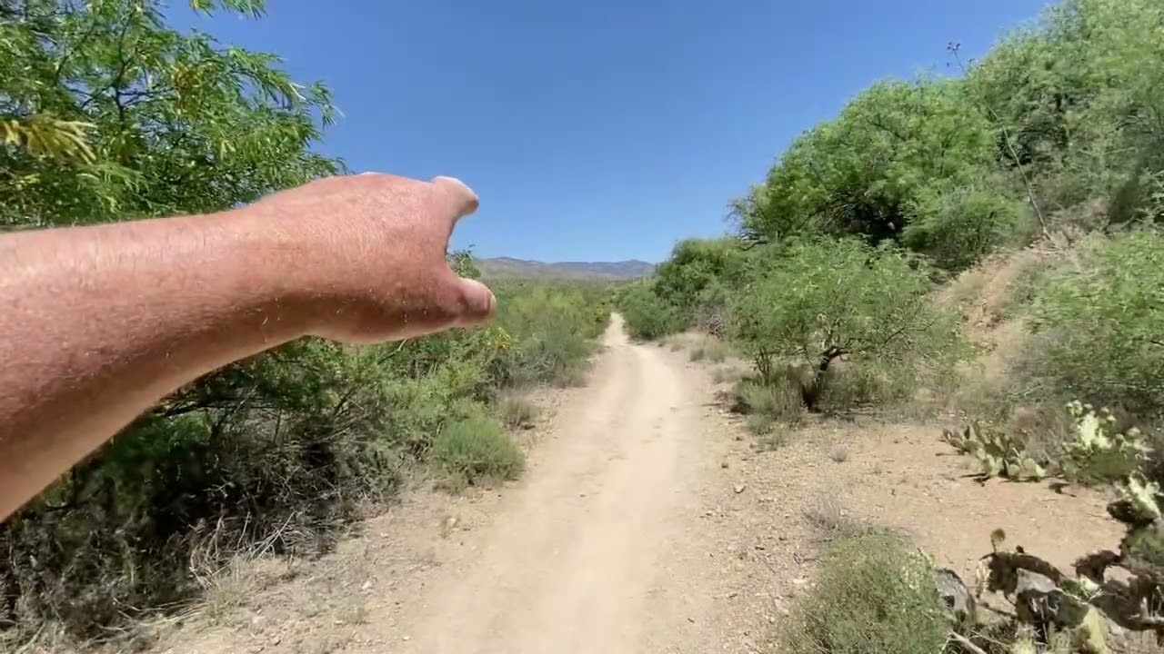 Horse poop trail
