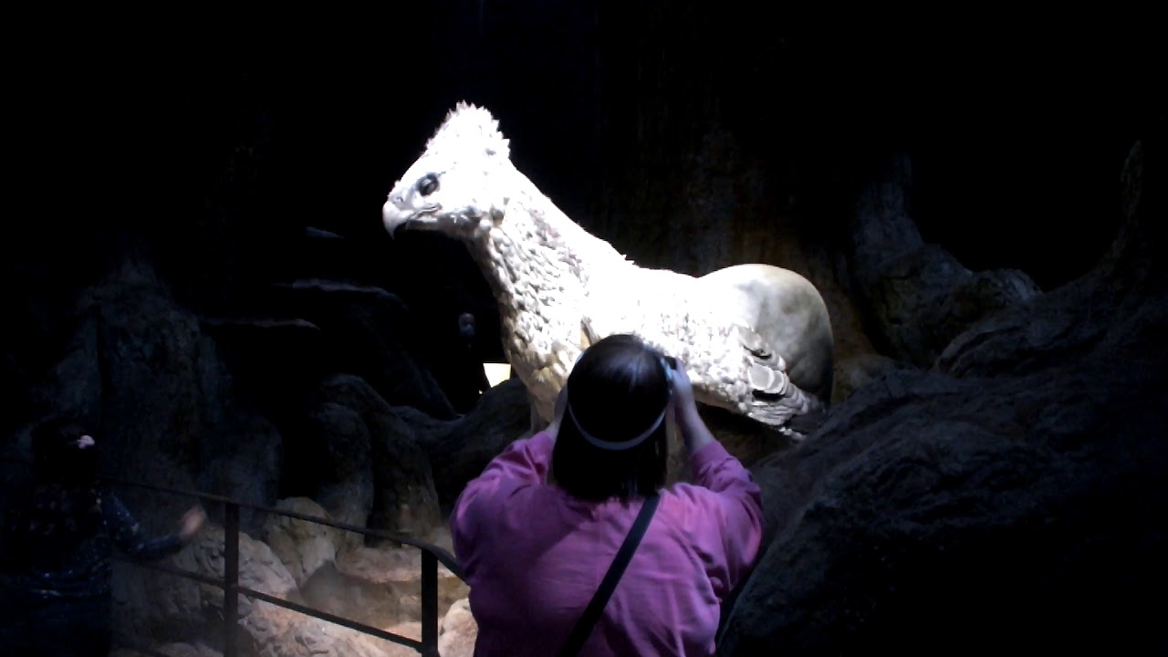Hippogriffs