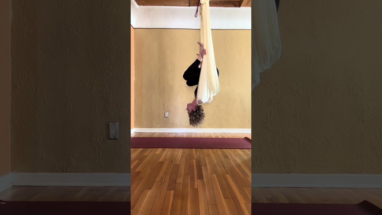 Aerial Inversion ✨