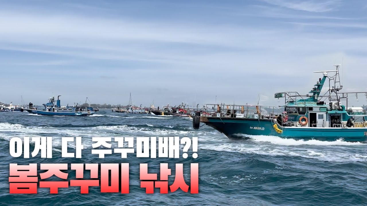 서해는 지금 봄쭈꾸미로 미쳤습니다. 얼마 안남았으니 바로 예약하세요!!!