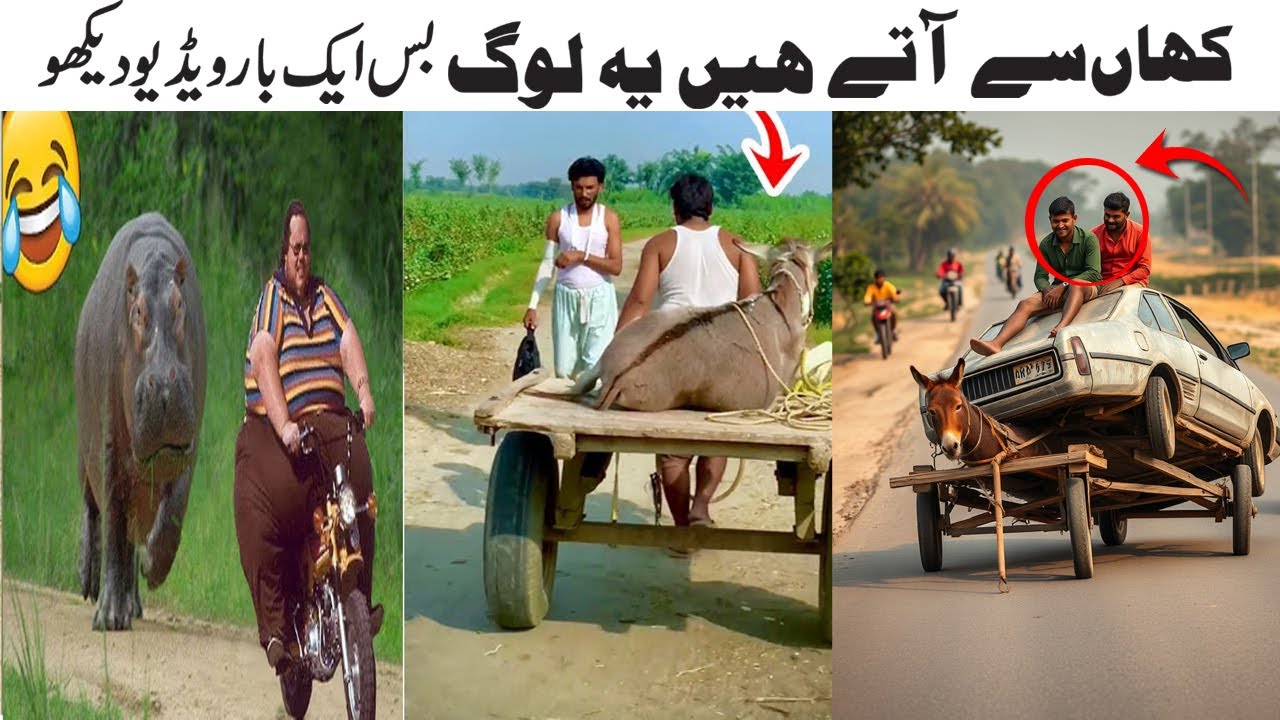 Pakitani People Funny Reaction On India vs Pakistan War Comedy Video