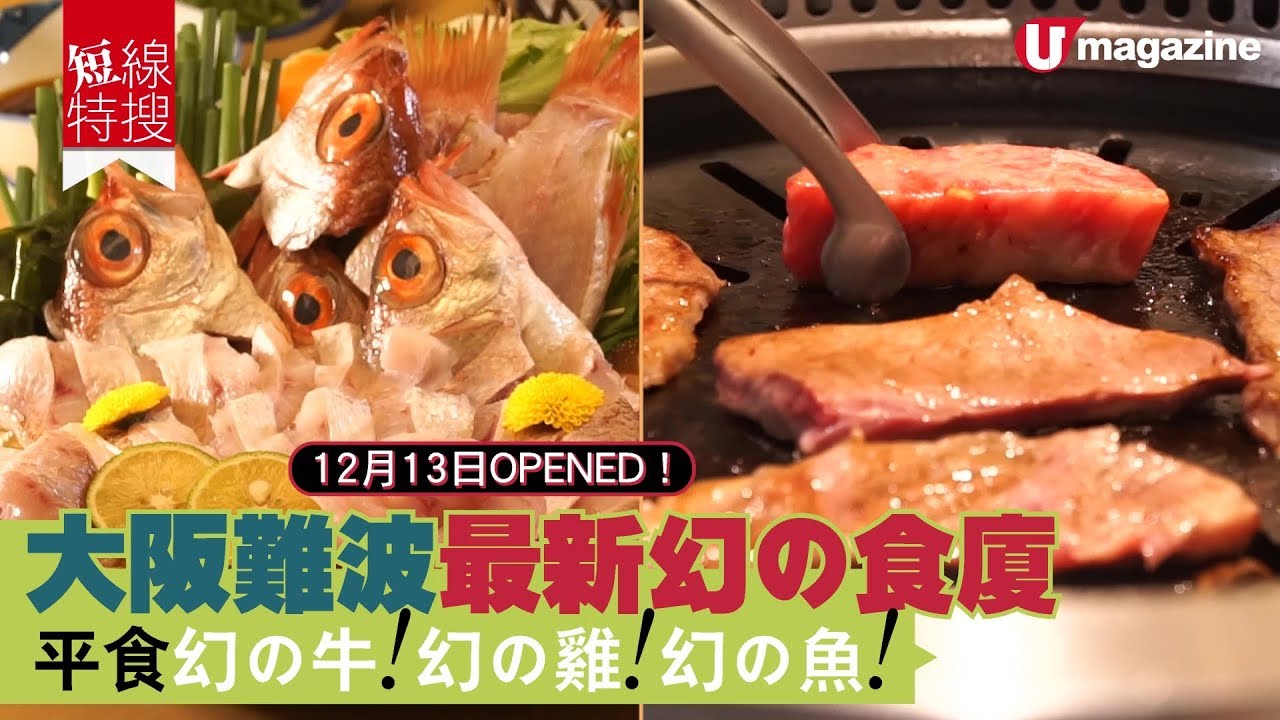【#短綫特搜】大阪難波最新幻の食廈！平食幻の牛！幻の雞！幻の魚！
