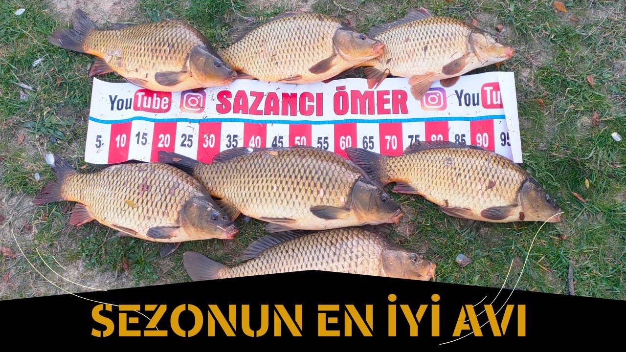RESMEN ŞOV YAPTIK | SAZAN AVI | ŞAMANDIRA ve DİP OLTASI | 1.bölüm @hamzadolunay