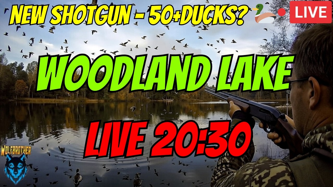 Woodland Lake LIVE 20:30 – New Shotgun + 50+ Ducks? 🦆🔴