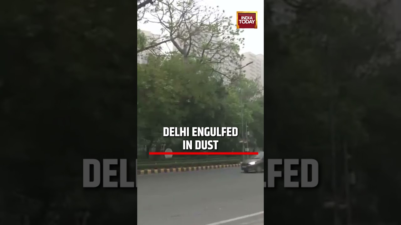 Delhi Weather: Delhi Hit by Sudden Dust Storm | Visibility Drops Across National Capital #delhinews