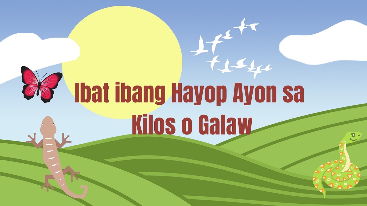 Iba't ibang Hayop Ayon sa Kilos o Galaw