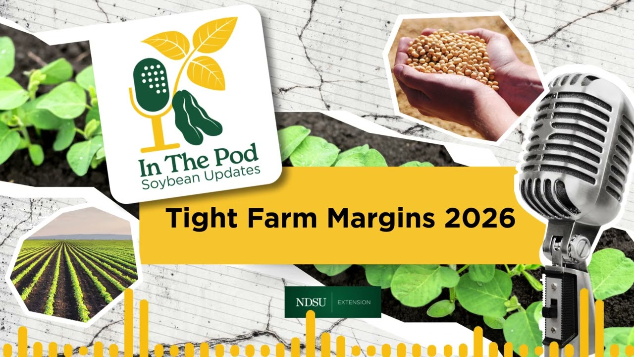 Agriculture’s Economic Forecast: Tight Margins, Tough Decisions - In the Pod Soybean Update