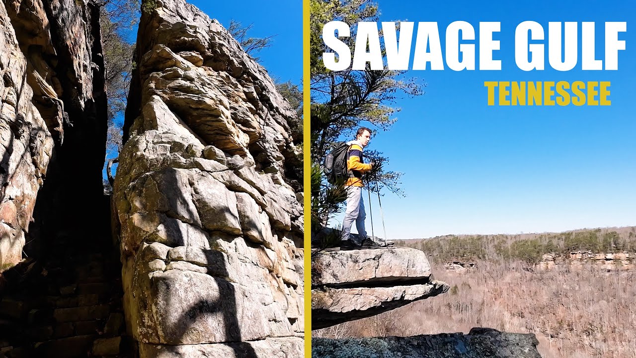 3 Trails, 11 Mile Loop At Savage Gulf In Tennessee