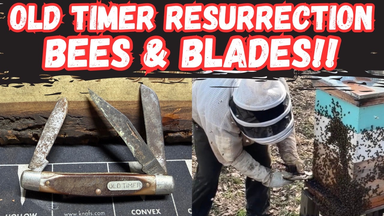 RESURRECTED A Rusty Old Timer KNIFE! + Working My Honeybees!