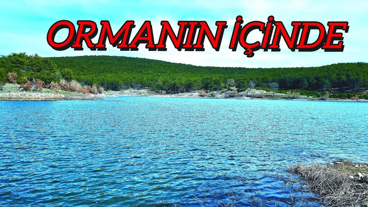 YENİ MERALARA KEŞİF GEZİNTİSİ#carpfishing #fishing #göletler #göller #doğa