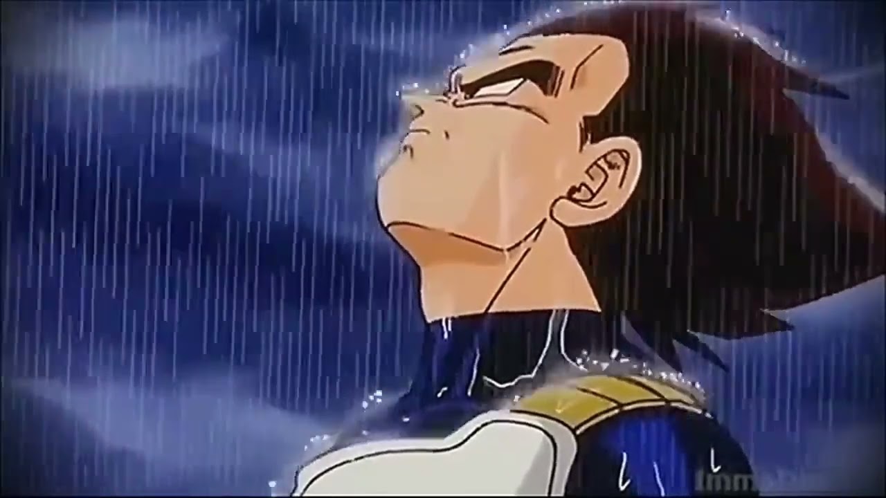 Vegeta sad borns-past live (slowed + reverb)