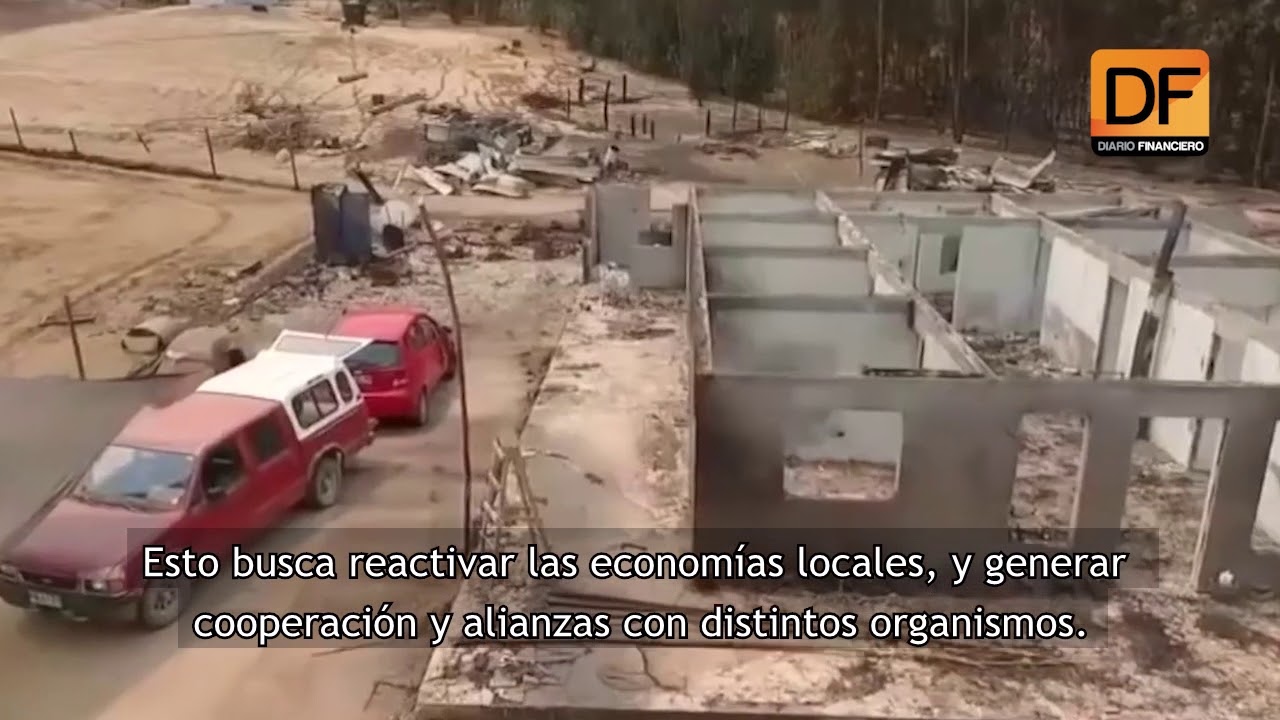 Reforestemos Chile con Cultiva