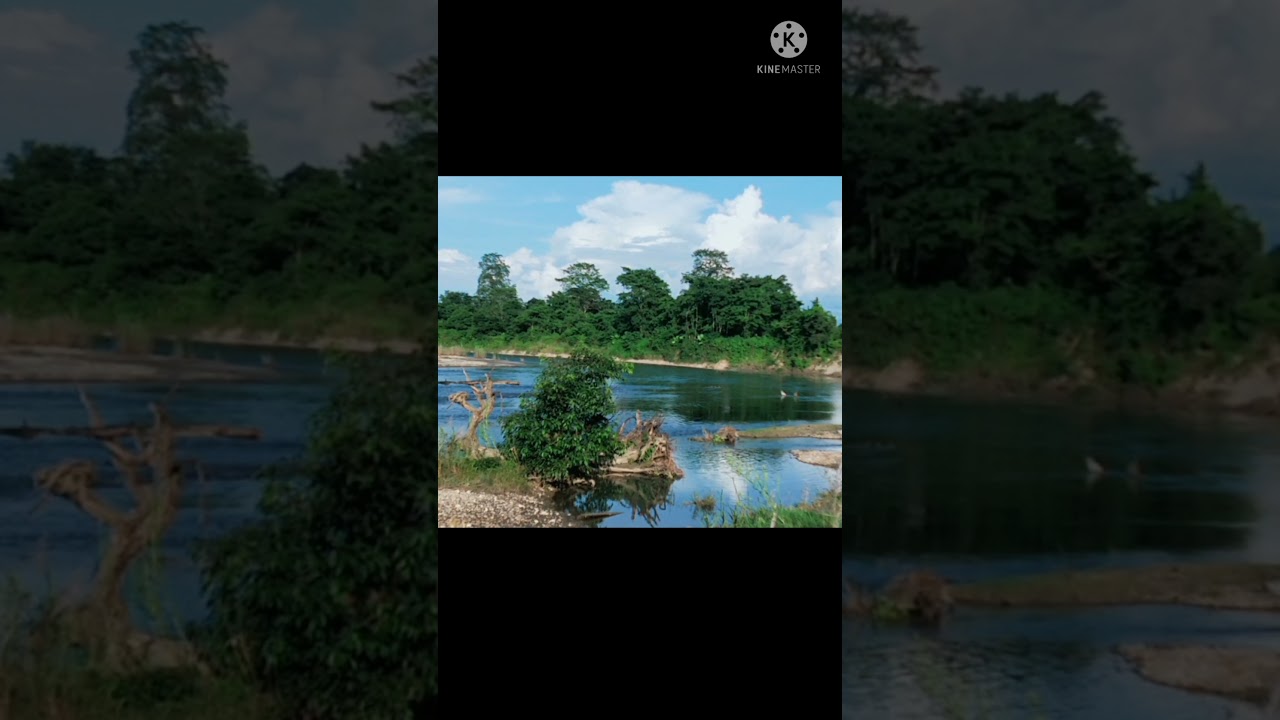 BURHI DIHING RIVER IN ARUNACHAL PRADESH #short #Shorts