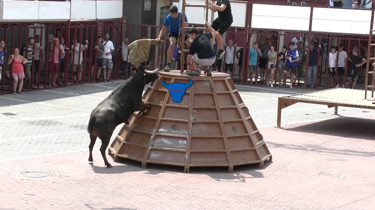 #TOROS #BOUS AL CARRER EL #VERGER 2025
