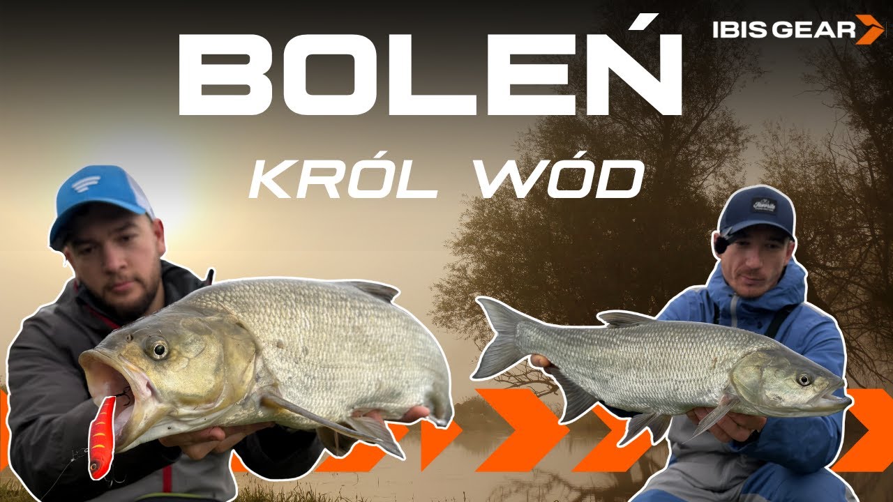 Sposób na jesienne bolenie