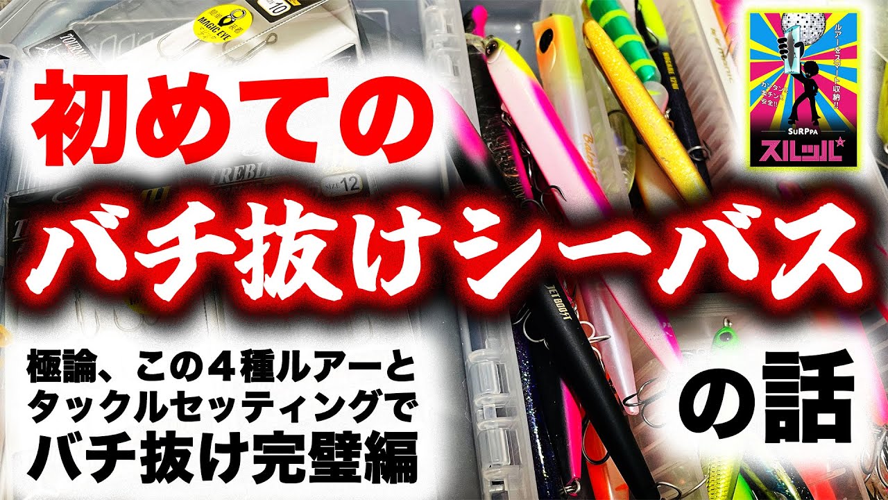初めてのバチ抜けシーバス！の話 - 極論、この4種ルアーとタックルセッティングでバチ抜け完璧編 -